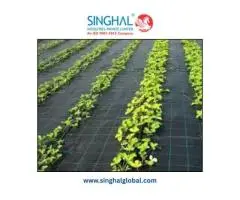 Durable Weed Mat for Garden Protection