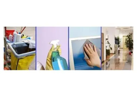 Elevate Productivity Through Professional Cleaning Services