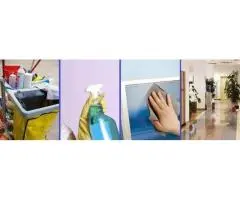 Elevate Productivity Through Professional Cleaning Services
