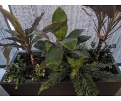 There Are Very Few Décor Moves As Smart As Faux Plants