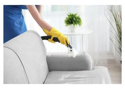 Professional Sofa Cleaning Services in Sydney – Everdry