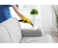 Professional Sofa Cleaning Services in Sydney – Everdry