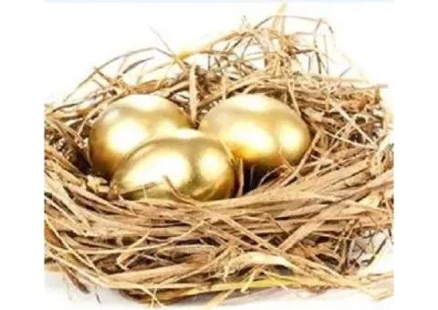 SMSF Advocacy Buyers Agent | SMSF Buyers Agent | FVG Property