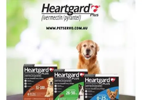 Heartgard — Trusted Protection for Your Pets Now at the Lowest Prices on Petservo