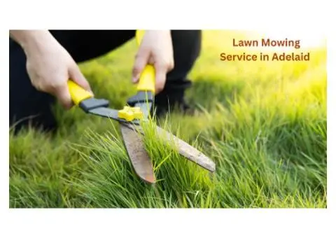 Need Lawn Mowing in Adelaide?
