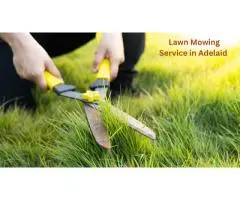 Need Lawn Mowing in Adelaide?