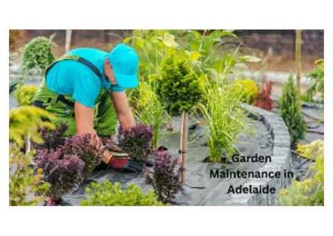 Looking for Garden Maintenance in Adelaide?
