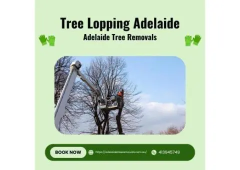 Affordable Tree Trimming Removal Service by Adelaide Tree Removals