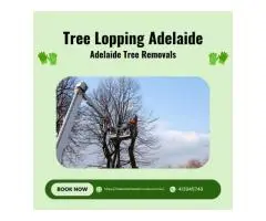 Affordable Tree Trimming Removal Service by Adelaide Tree Removals