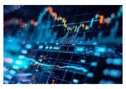 Financial Risk Manager Course