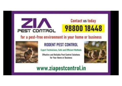 Rodent Control | Rodent treatment | Pest control services near me | 8071