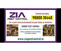 Rodent Control | Rodent treatment | Pest control services near me | 8071