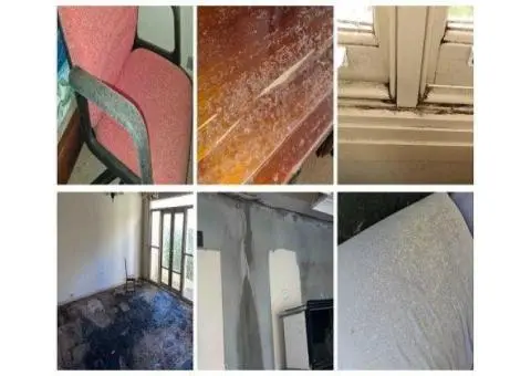 Mould Remediation Sydney | Mould Removal | Integrated Environmental