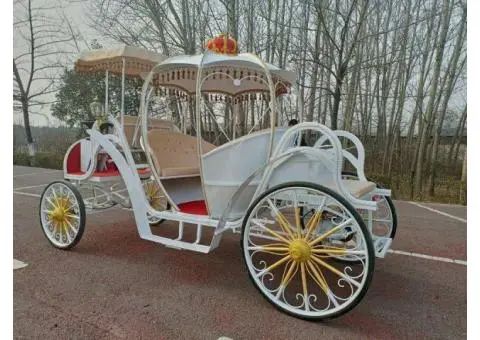 Royal Wedding Carriage Sydney – Bollywood Mantra 4u | Event Management Company - 3/3