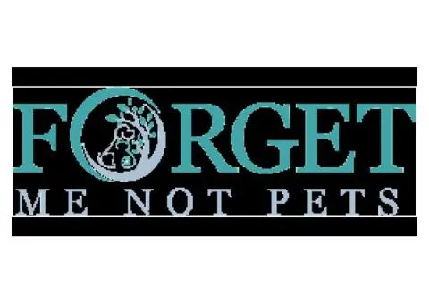 Pet Cremation near Me Offered in Communal and Private Types