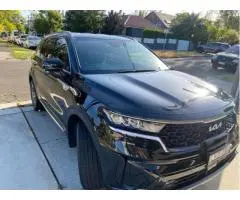 Professional Car Detailing in Randwick – Vince’s Car Detailing