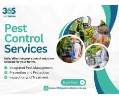 Reliable Residential Pest Control Services in Laverton | Safe & Affordable Solutions