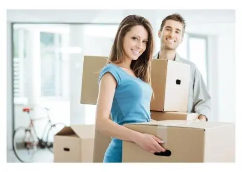 Paradise Point Removals