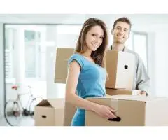 Paradise Point Removals