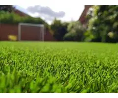 Artificial Lawn Supplier in Wollongong