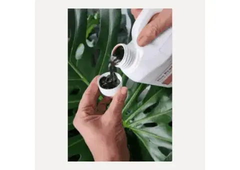 Why Gardeners Trust Soil Dynamics Organic Fish Fertilise