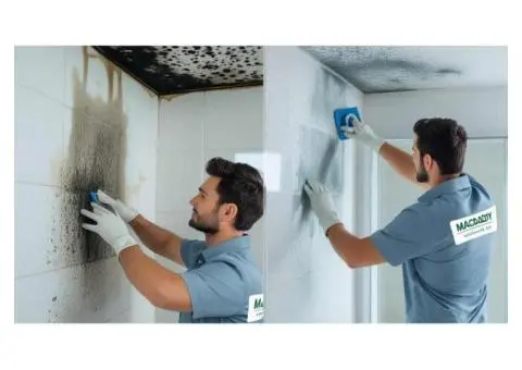 Fast, Reliable & Eco-Friendly Mould Removal – Sydney Homes Protected