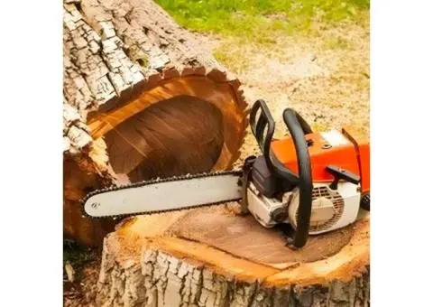 Landscaping Service in Virginia Adelaide