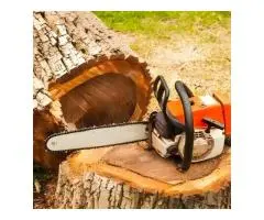 Landscaping Service in Virginia Adelaide