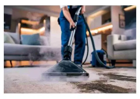 Professional Carpet Steam Cleaning in Geelong