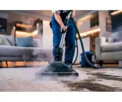 Professional Carpet Steam Cleaning in Geelong