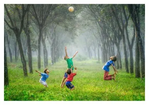 Professional Security Guards in Shellharbour - 2/2