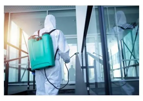 Fast & Reliable Bed Bug Treatment on the Gold Coast