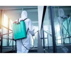 Fast & Reliable Bed Bug Treatment on the Gold Coast