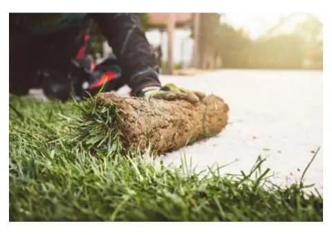 Transform Your Backyard with Garden Renovations Mt Gambier