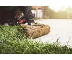 Transform Your Backyard with Garden Renovations Mt Gambier