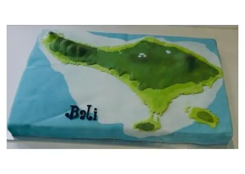 Want One-of-a-Kind Novelty Cakes in North Brisbane?