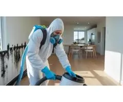 Certified Mould Remediation Sydney – Fast, Safe & Affordable Services