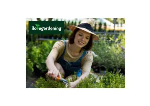 Cheap Grass Cutting Service Near Me -I love gardening - 1/3