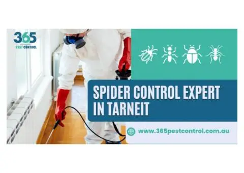 Effective Spider Control in Tarneit – Trusted Solutions by Local Experts