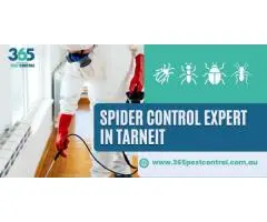 Effective Spider Control in Tarneit – Trusted Solutions by Local Experts