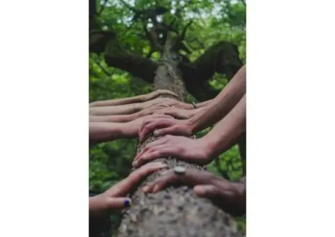 Autism Spectrum Disorder Assessment - 1/4