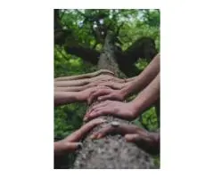 Autism Spectrum Disorder Assessment