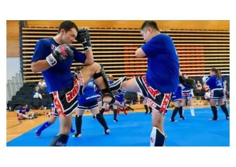 Checkout the Beginner Adult Martial Arts of the Top Karate Classes Near Me Australia