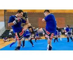 Checkout the Beginner Adult Martial Arts of the Top Karate Classes Near Me Australia