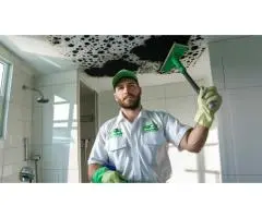 Trusted Mould Removal Sydney – Certified Experts | Free Inspection