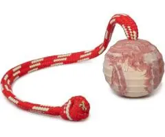 Soft & Durable dog balls - Von Ultimate Dog Shop