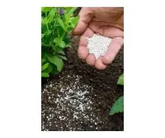 Boost Plant Health Naturally with Organic Seaweed Fertiliser from Soil Dynamics