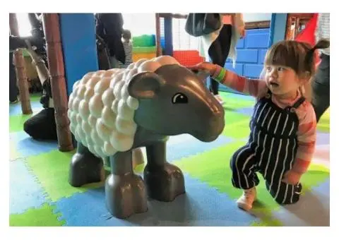 Nurturing & Personalised Toddler Program in Craigieburn - 1/4