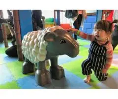 Nurturing & Personalised Toddler Program in Craigieburn