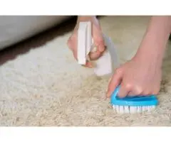 Professional Couch Cleaning Melbourne